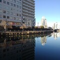 写真: 街中の空の青さと川の青さ（1月12日）