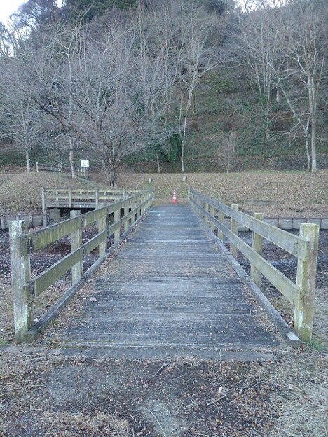 川崎城跡の池の橋（1月5日）