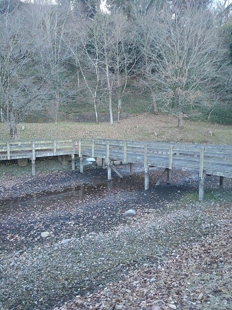 水のない池と橋（1月5日）