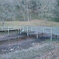 水のない池と橋（1月5日）