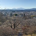 写真: タワーから見えた日光連山（1月1日）