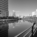 写真: 都会の川・モノクロ（1月12日）