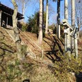 写真: 川崎城跡の丘の鳥居（1月5日）