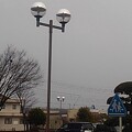 街灯と街路樹と標識（1月21日）