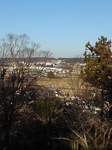 丘の上から見えた市街地（1月5日）