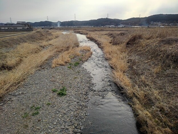 水田地帯を流れる川（1月28日）