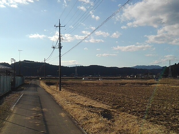 水田沿いの道（1月30日）