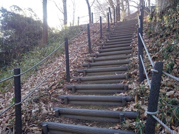 自然に近い上り階段（1月5日）