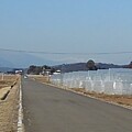 写真: 那須の山（1月31日）
