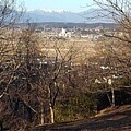 写真: 丘の広場の隙間からの那須の山（1月5日）