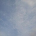 写真: 薄い雲（2月15日）