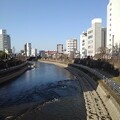 写真: 都市の川（3月15日）