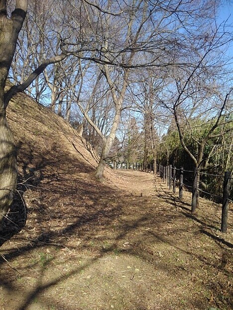 写真: 川崎城跡の丘の中腹の道（3月3日）