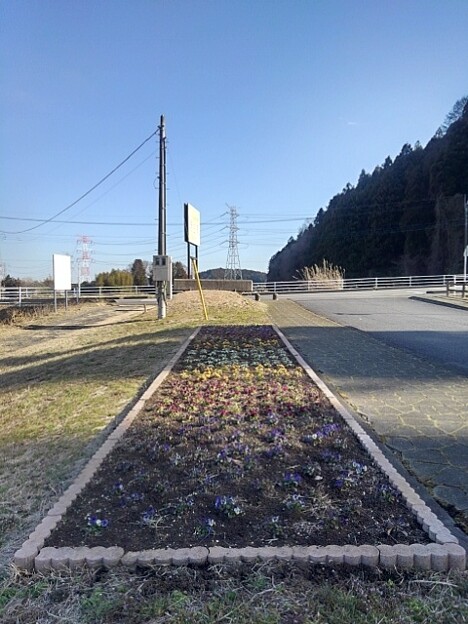 川崎城跡の花壇と鉄塔（3月3日）