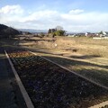 写真: 川崎城跡の花壇と橋（3月3日）