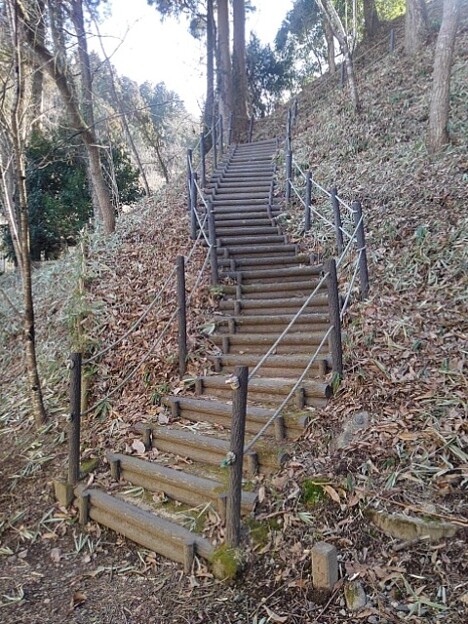 写真: 自然に近い階段（3月3日）
