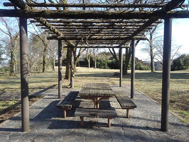 写真: 川崎城跡の丘の藤棚の休憩所（3月3日）