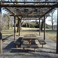 写真: 川崎城跡の丘の藤棚の休憩所（3月3日）