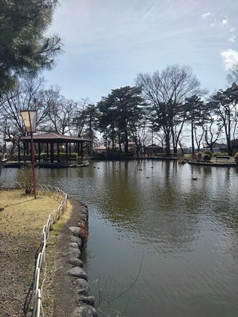 写真: 烏ヶ森公園の池（3月30日）