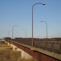 写真: 道路橋（3月16日）