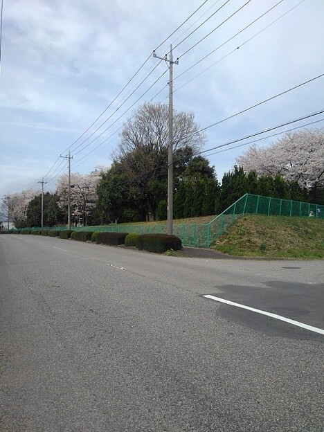 写真: 郊外の道路（4月13日）