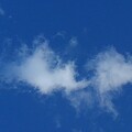 写真: 青空と雲（3月21日）