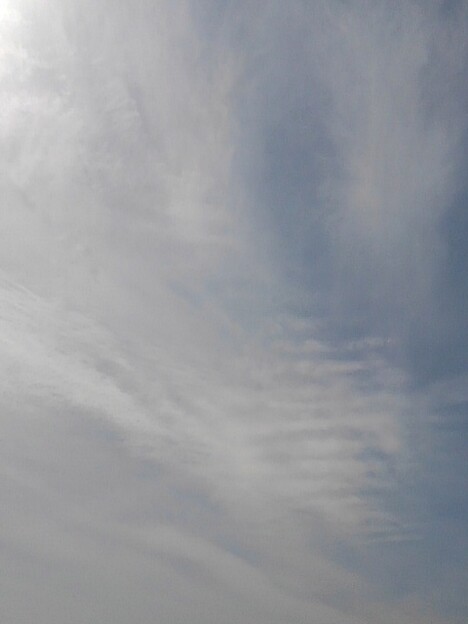 薄い雲（3月24日）