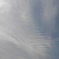 写真: 薄い雲（3月24日）