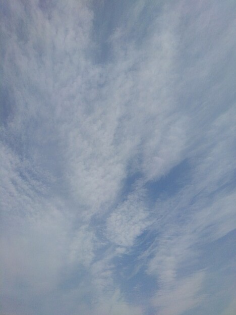 写真: 雲（3月24日）