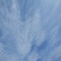 写真: 青空と薄い雲（3月24日）