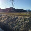 写真: 水田と鉄塔（3月22日）