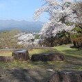 石のベンチと桜と山（4月13日）