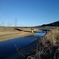 写真: 川の奥に橋（3月22日）