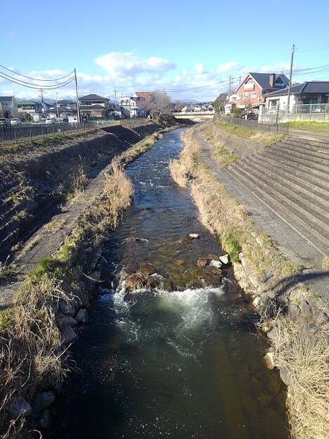 橋の上からの堰と川（3月27日）