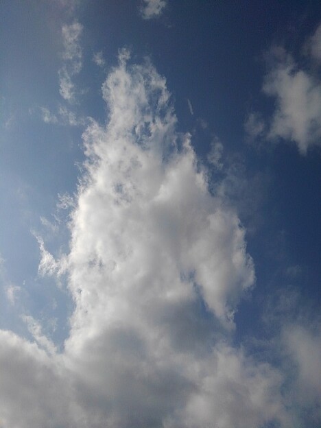 写真: 雲（4月12日）