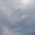 写真: 雲（4月13日）