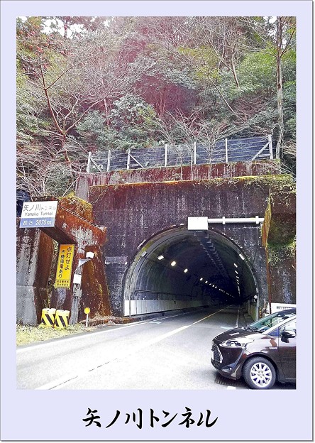 写真: 熊野古道散策 ”矢ノ川トンネル”