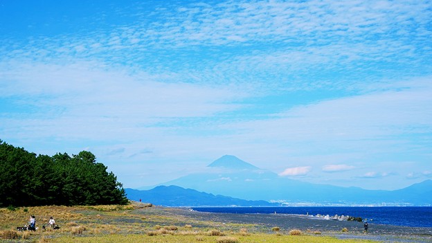 Photos: 三保の松原からの富士山