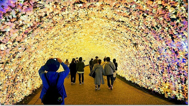 光のトンネル「花と華」