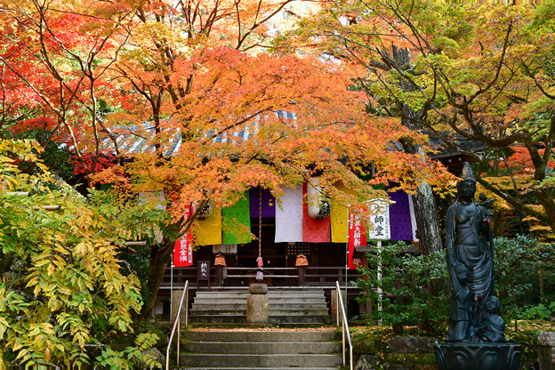 写真: 秋に染まる大師堂