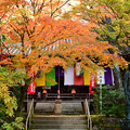 写真: 秋に染まる大師堂