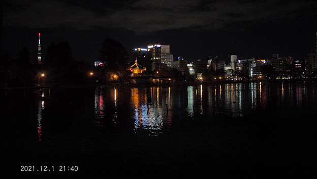 写真: 夜_0811yoru