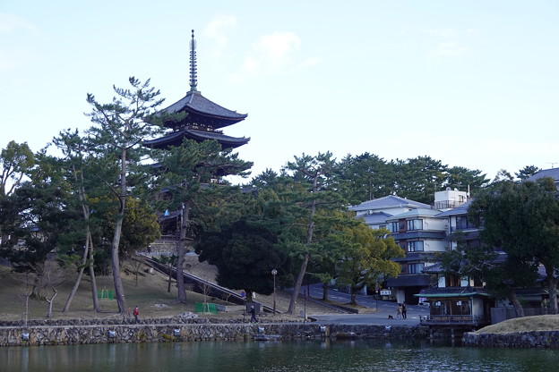 写真: 2022 2 6 猿沢池から興福寺 (1)