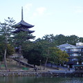 2022 2 6 猿沢池から興福寺 (1)