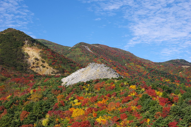 写真: 白トンガリ山の秋