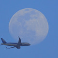 写真: 20210425飛行機と月02