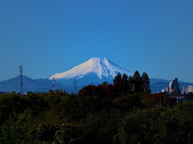 20231119富士山（秋ヶ瀬） (1)