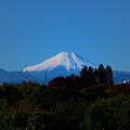 Photos: 20231119富士山（秋ヶ瀬） (1)