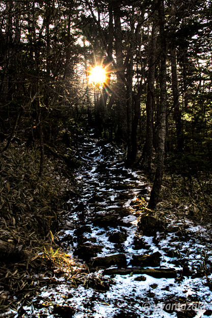 写真: 初冬の登山道