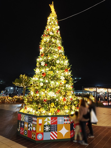 2022 イオンモール広島祇園 クリスマスツリー